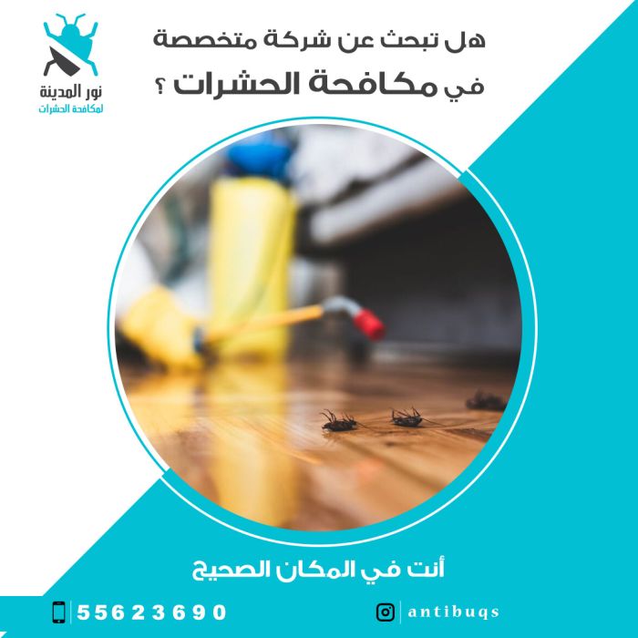 شركة محافة الحشرات 60083891 2