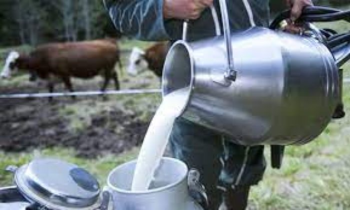 مطلوب ممول لمشروع تربية المواشي وإنتاج الحليب في تركيا 4