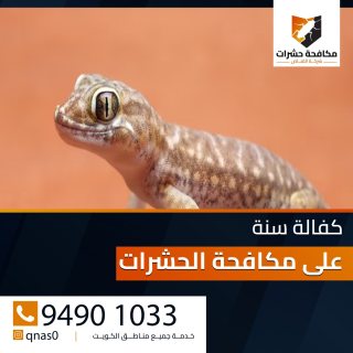 اقوي شركة مكافحة حشرات بالكويت 94901033