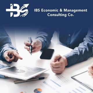 شركة IBS للاستشارات الاقتصادية والادارية 90907637