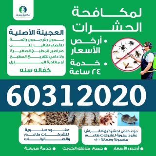 رقم مكافحة حشرات بالكويت 60312020