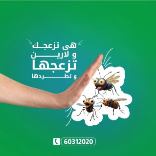 شركة حشرات الكويت 60312020