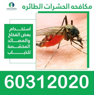 مكافحة الحشرات الطائرة 60312020