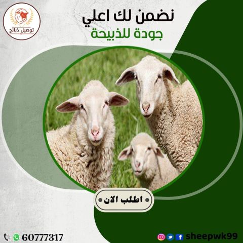  توصيل ذبائح 60777317