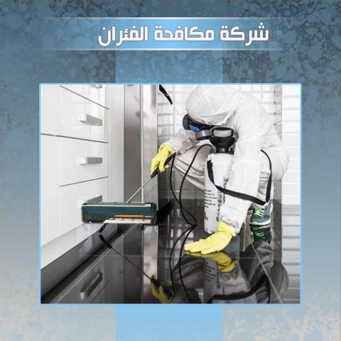 شركه مكافحه الفئران بالكويت 98976009