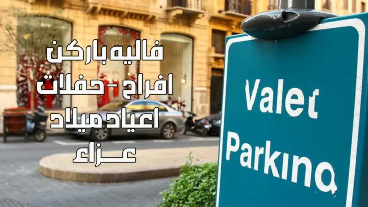 فاليه باركن النوبي  66180708