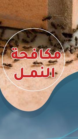 مكافحة حشرات 60903280