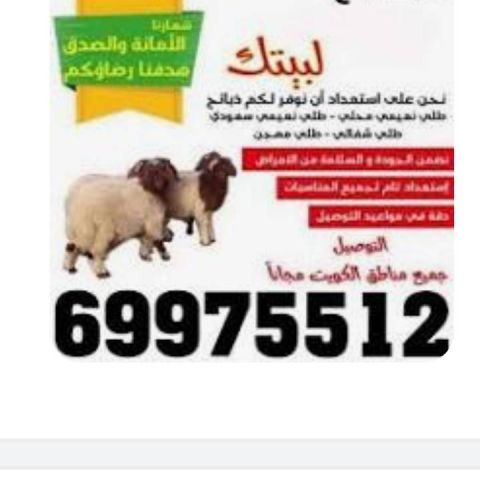 ذبايح للبيع بالكويت 