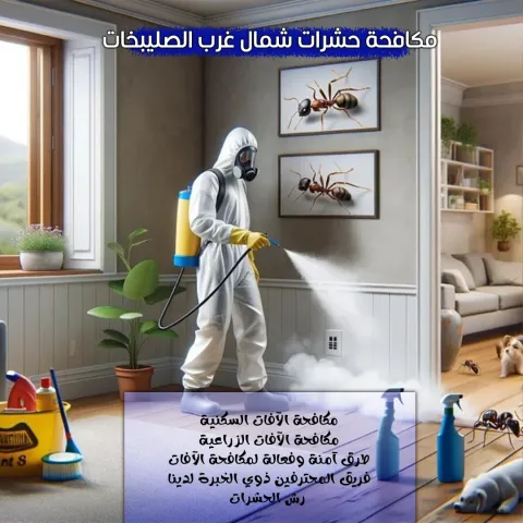 مكافحة حشرات شمال غرب الصليبخات  97923973 