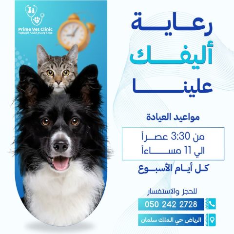 Prime Vet Clinic | عيادة وسام القمة البيطرية 