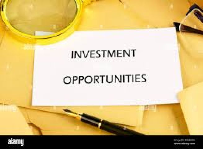 INVESTMENT,INVESTMENT,INVESTMENT, We are looking for a project to 3
