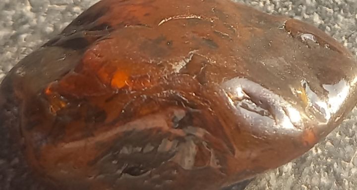 نور القدر  4