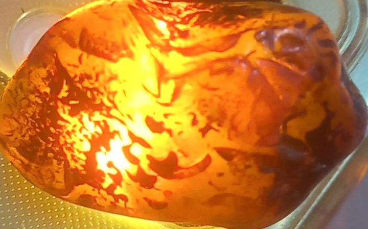 نور القدر  8