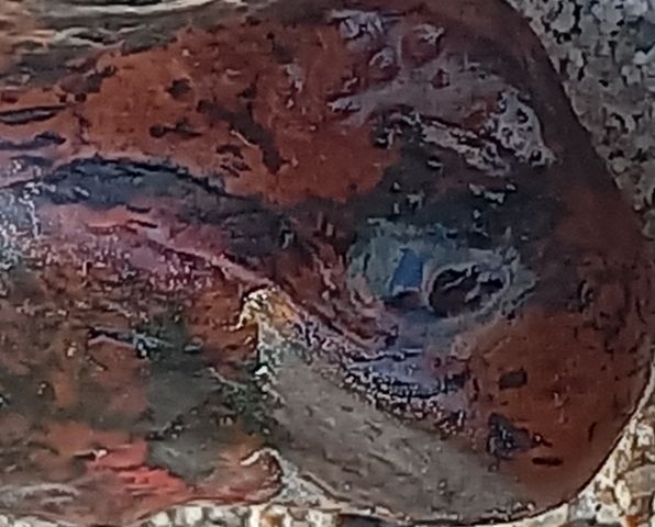 نور القدر  10