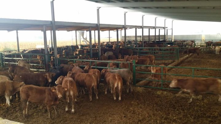 استثمارات شراء مزارع واراضي وفنادق في اسبانيا