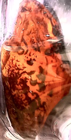 (( الاسطورة  ))    جوهرة رأس الأفعى  8