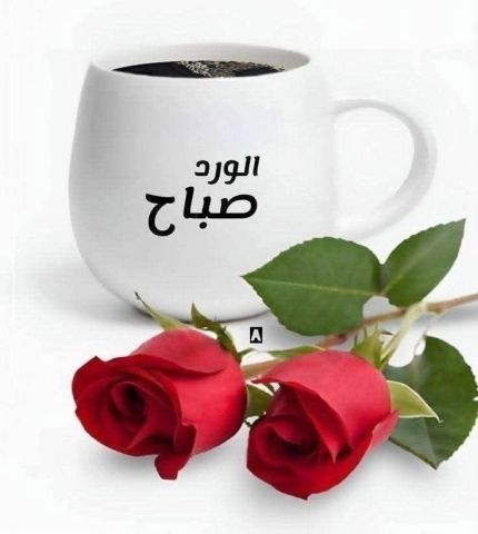  كابتن مساج للتدليك يريد التعارف والصداقه